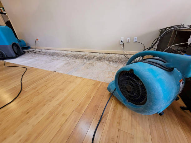 Professional Water Removal technician working in Fayette, MO